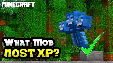 mobs that give most xp.